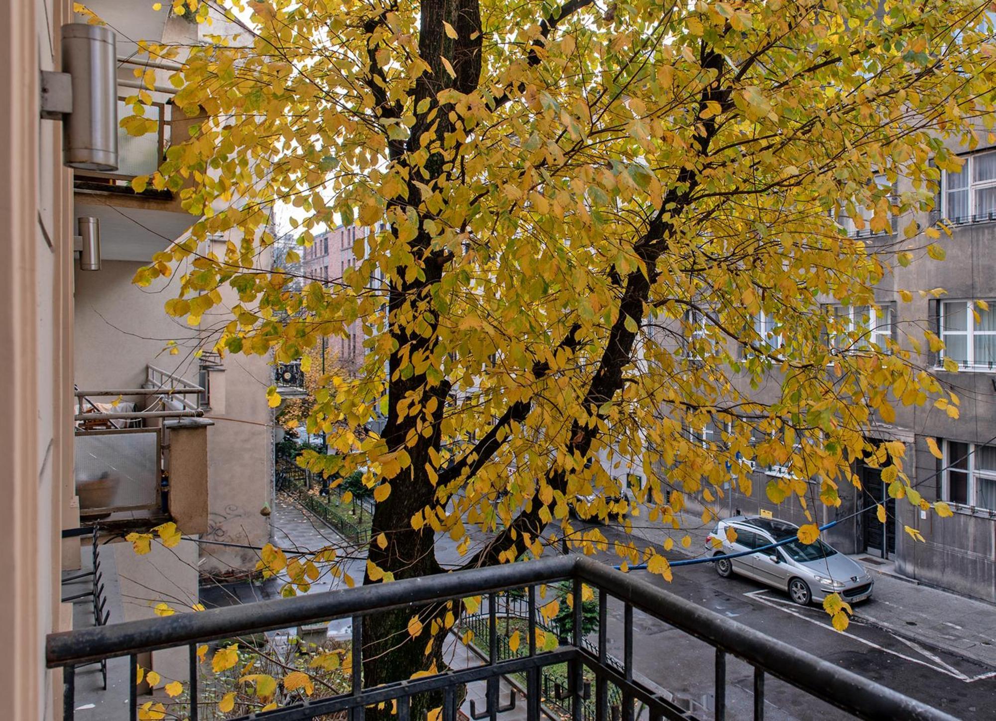 3D Wygoda Apartamenty Krakow Room photo
